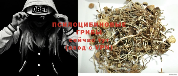 ECSTASY Навашино