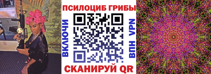 как найти закладки Кукмор Псилоцибиновые грибы Magic Shrooms